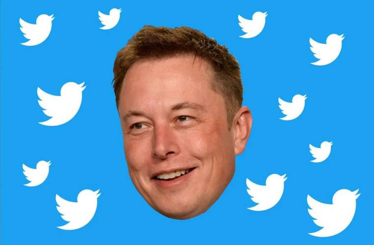 Fonte: Elon Musk/Instagram/Reprodução.