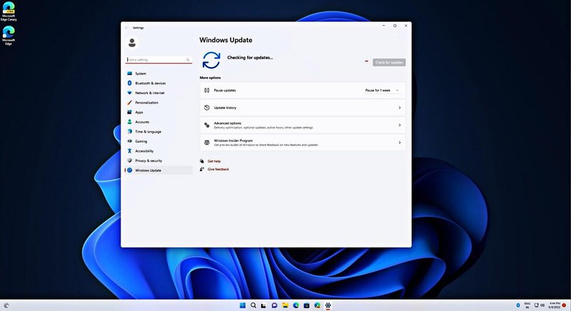 Fonte: Microsoft/Reprodução.