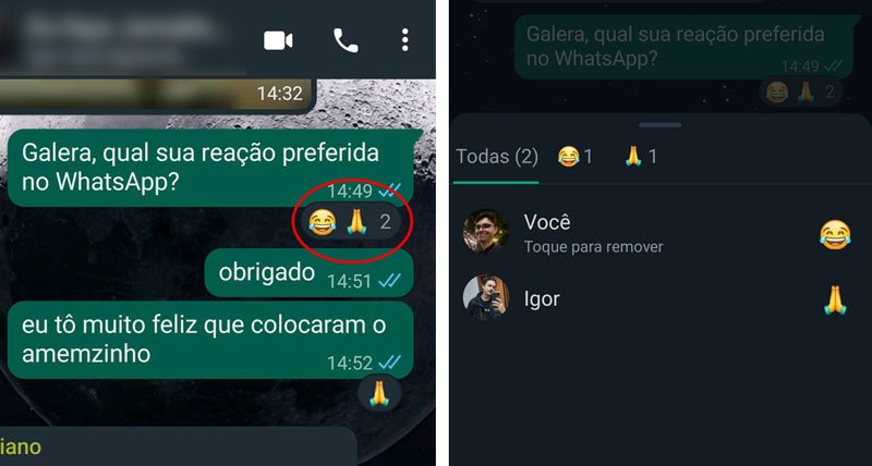 WhatsApp reações
