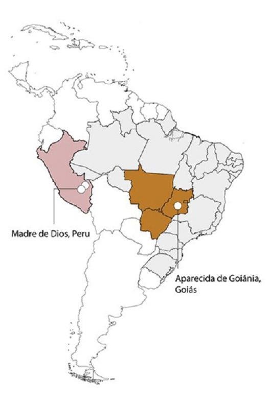 Goiás e Peru, as duas regiões que já registraram casos nas Américas