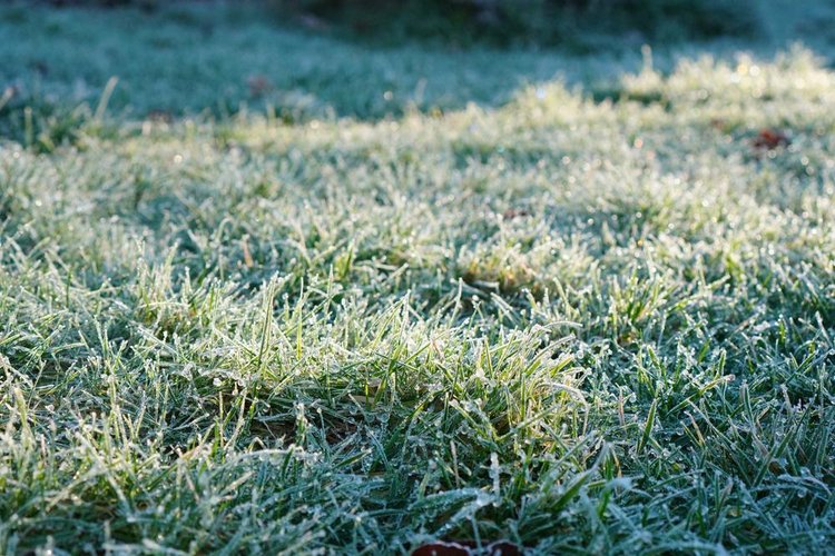 Geadas devem tomar os campos no sul do país e atingir até mesmo grandes centros (Fonte: Shutterstock)