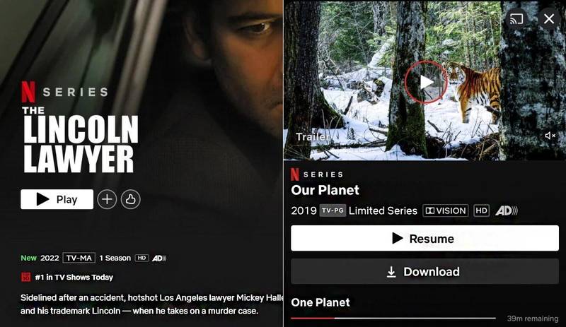 Fonte: Netflix/Reprodução.