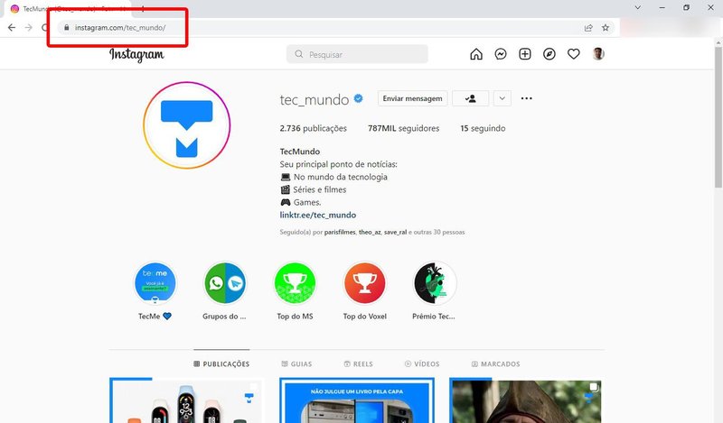 Você pode acessar qualquer perfil do Instagram via URL no navegador de internet