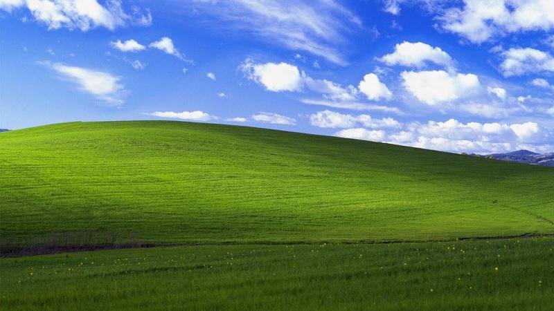 O clássico papel de parede padrão do Windows XP