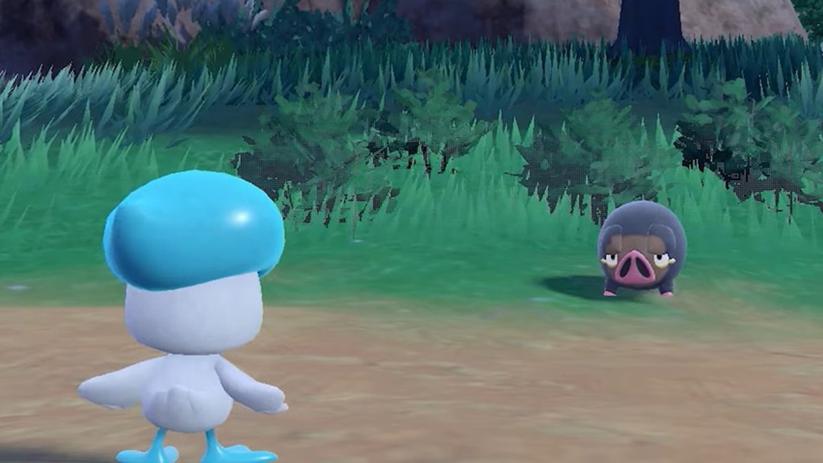 A POKÉMON ANUNCIA NOVOS JOGOS DE VIDEOGAME POKÉMON SCARLET E POKÉMON VIOLET