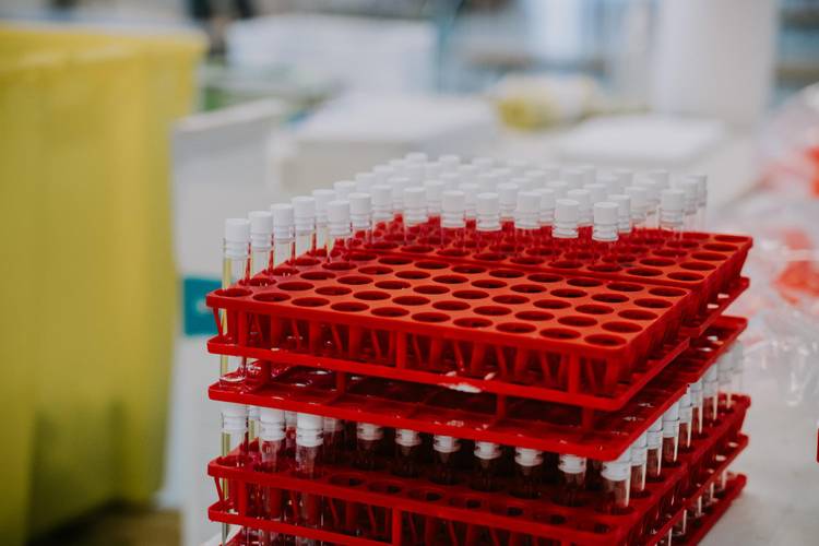 Várias empresas estão desenvolvendo vacinas intranasais contra a covid-19. (Fonte: Unsplash/Mat Napo)