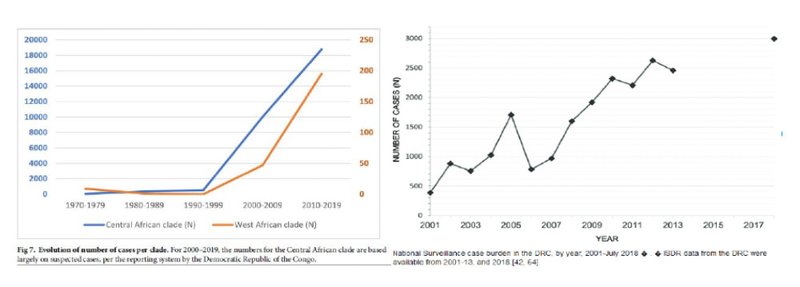 Gráficos de evolução