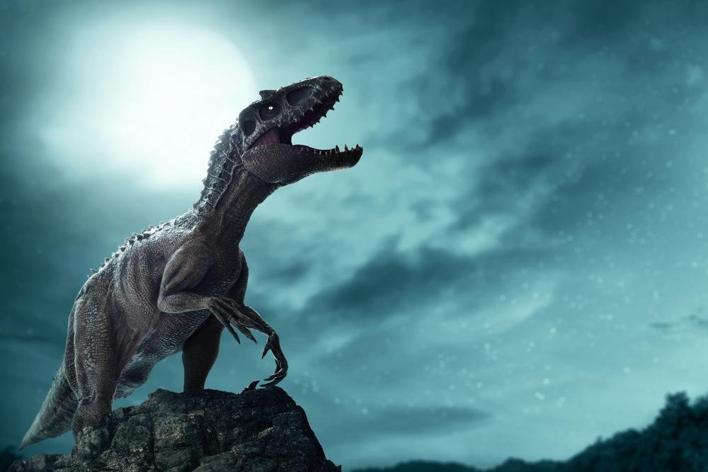 Tyrannosaurus rex é um nome derivado das palavras gregas "tyrannus", tirano, "saurus", lagarto, e "rex", rei(Fonte: Shutterstock)