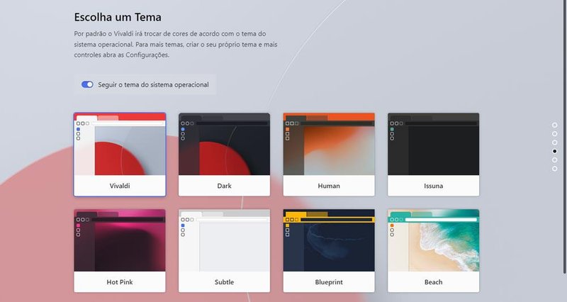 O navegador oferece muitas opções de personalização, incluindo diversos temas