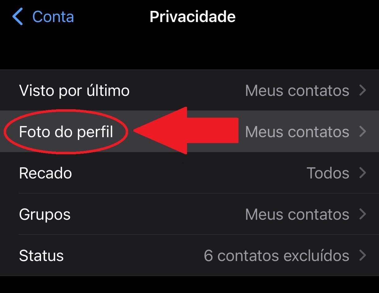 WhatsApp começa a liberar fotos de perfil em grupos; saiba como vai ser