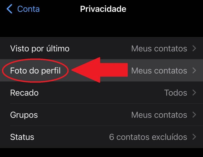 Antes de apertar em "Foto de perfil", é possível ver qual opção está ativada