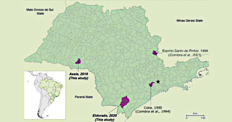 Cidades paulistas e infecções pelo vírus sabiá. (Fonte: Faculdade de Medicina da USP/Divulgação)