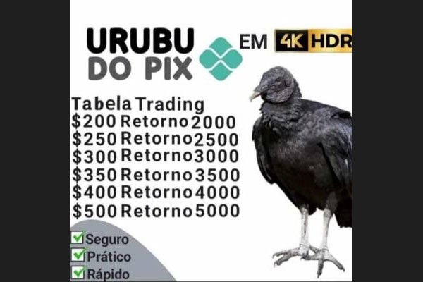 Urubu do Pix meme