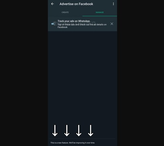 Interface inicial da nova ferramenta de gerenciamento de anúncios no WhatsApp Business beta. (WABetaInfo)