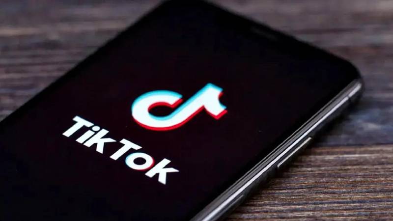 O TikTok afirma que também limita o conteúdo para menores de 16 anos. (Shutterstock)