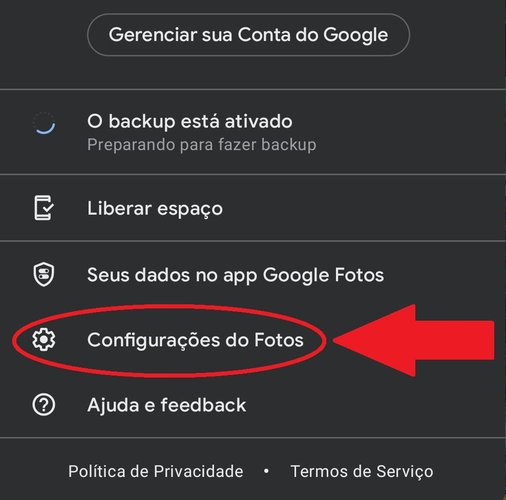 Além do backup, você pode gerenciar outras opções do app