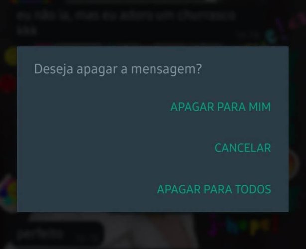 Para os donos de dispositivos Android, a atualização do WhatsApp beta 2.22.15.8 permite excluir mensagens em até 2 dias e 12 horas.(TecMundo)