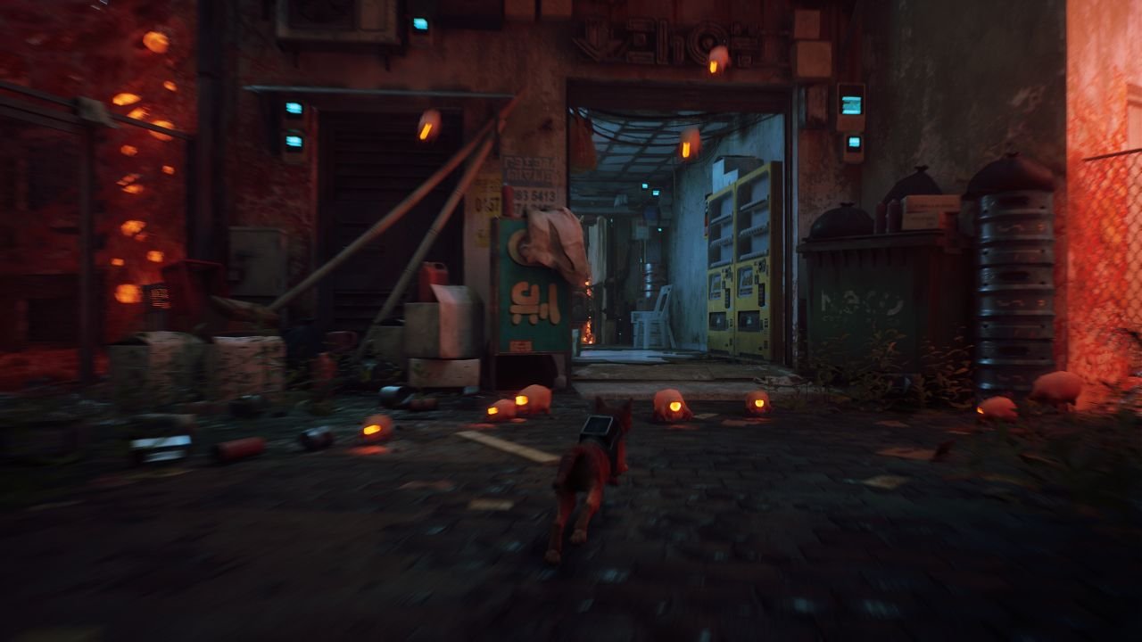 Stray, jogo de um gato que se passa numa cidade Cyberpunk, pode ter  ganhando sua data de lançamento