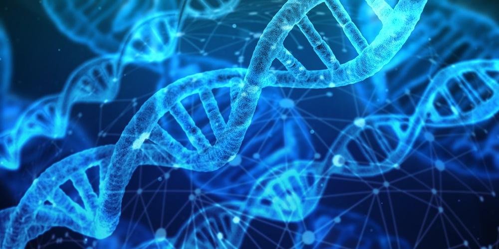 O DNA ainda pode oferecer muitas informações úteis.