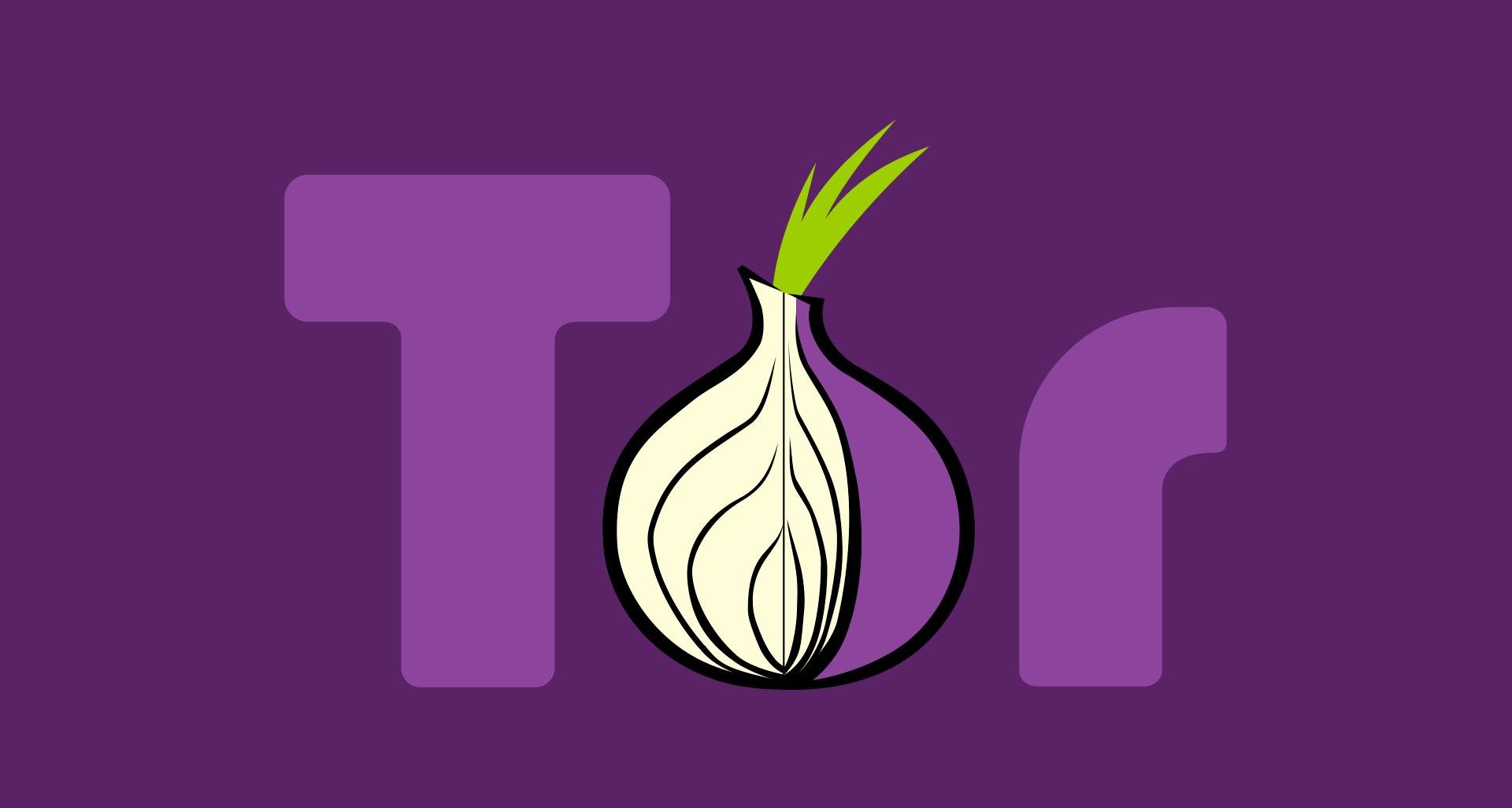 tor browser