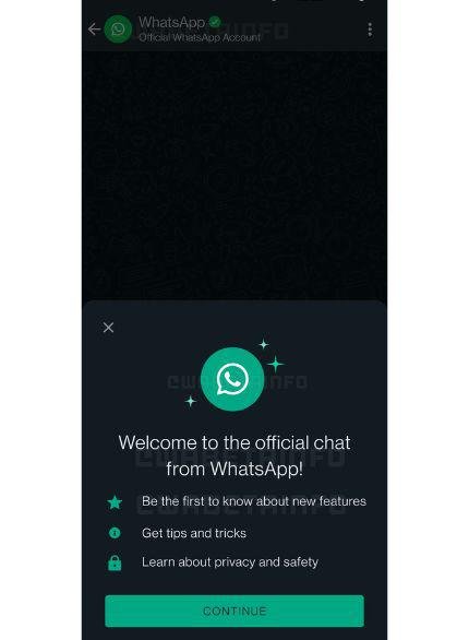 Chat oficial com bot do WhatsApp terá somente função de leitura e será criptografado de ponta-a-ponta