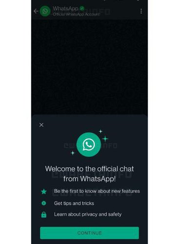 Chat oficial com bot do WhatsApp terá somente função de leitura e será criptografado de ponta-a-ponta