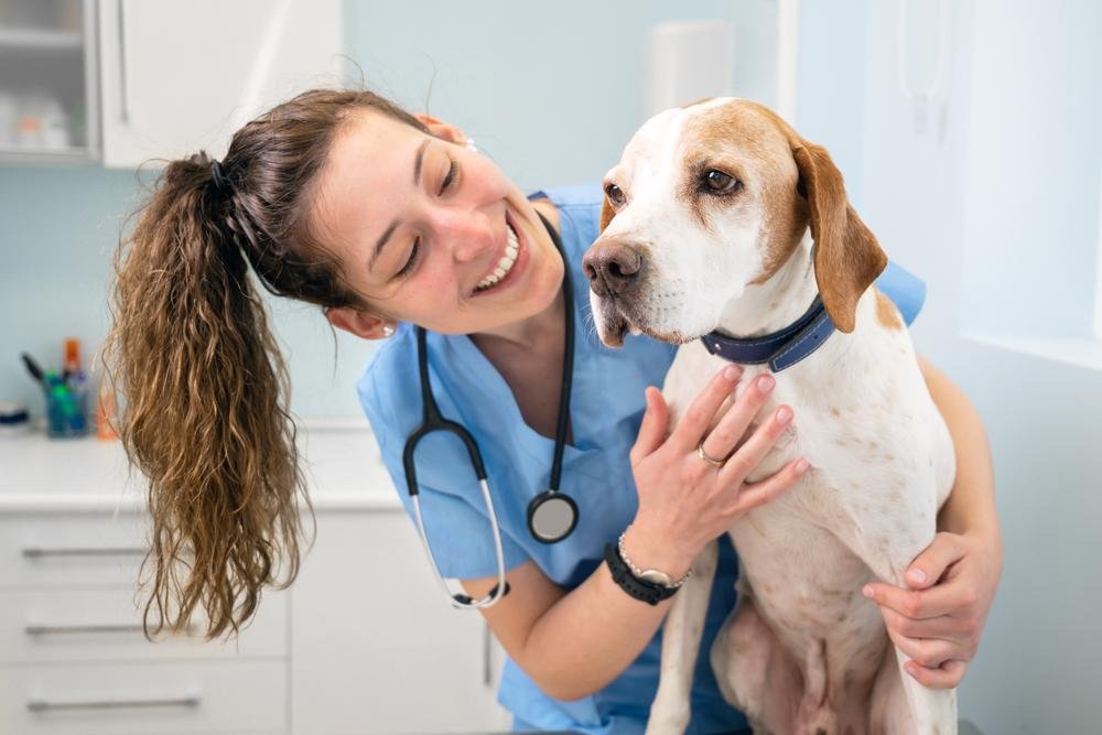 Visitas mais frequentes aos veterinários às vezes são evitadas pelo custo