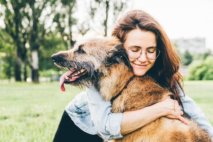 Caso você tenha um cão idoso, certifique-se de que o plano de saúde atenda a faixa etária do seu pet