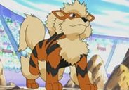 Imagem de: Pokémon: tosador transforma poodle em adorável Arcanine