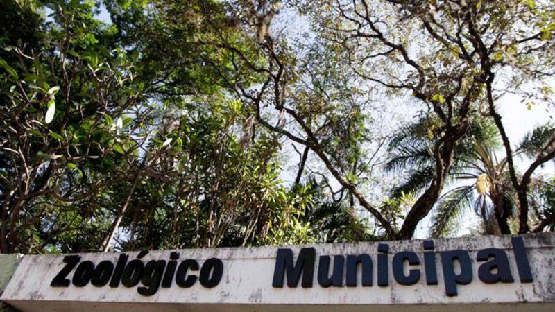 O Zoológico Municipal de São José do Rio Preto recebeu onze animais com sinais de envenenamento e agressão; oito morreram. (Fonte: Prefeitura Municipal São José do Rio Preto/Divulgação.)
