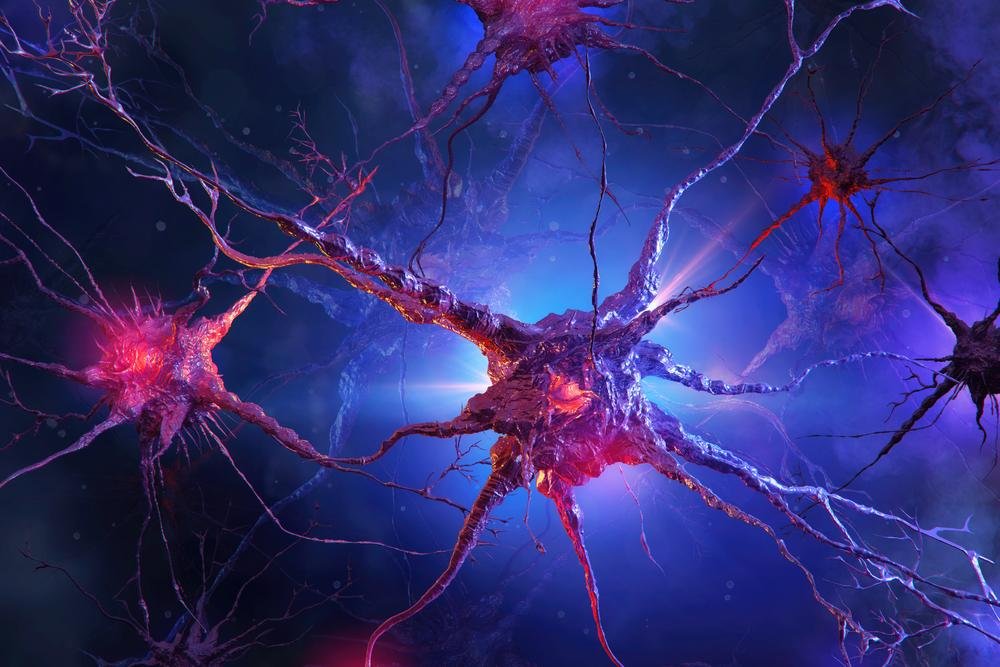 As proteínas ß-amiloides formam placas nos neurônios, enquanto a falta das P-Tau fazem com que estruturas importantes se desorganizem, causando a morte do neurônio.