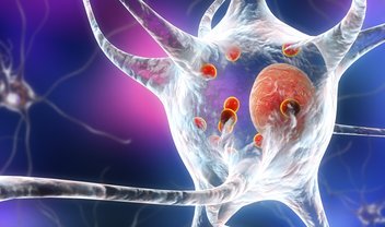 Novo teste é capaz de diagnosticar o Parkinson precocemente - TecMundo