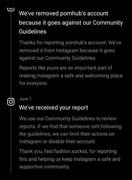 Instagram afirma ter removido conta do PornHub em imagem publicada por Laila Mickelwait