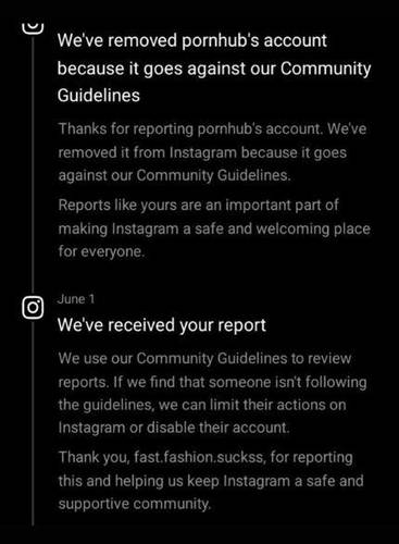 Instagram afirma ter removido conta do PornHub em imagem publicada por Laila Mickelwait