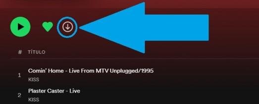 Clique no botão redondo para fazer o download do álbum ou da playlist desejada
