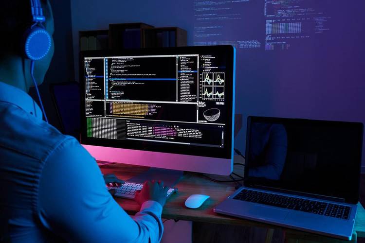 O domínio de linguagem de programação é essencial para a carreira.
