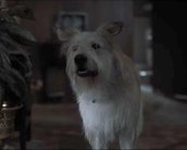 Stranger Things: o que aconteceu com o cachorro da família Byers?