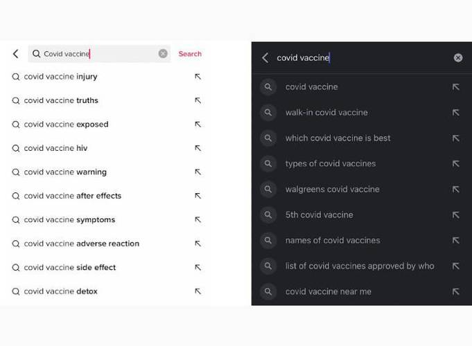 Buscas sugeridas no Google são menos enviasadas que no TikTok