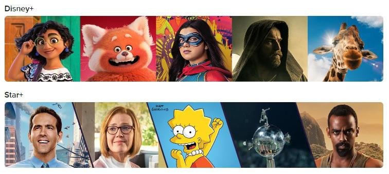 Assinantes Nível 6 tem Disney Plus e Star Plus de graça