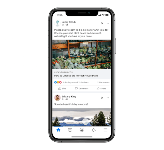 Feed Facebook