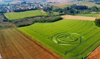 Aliens? Agroglifo misterioso aparece em plantação em Santa Catarina 