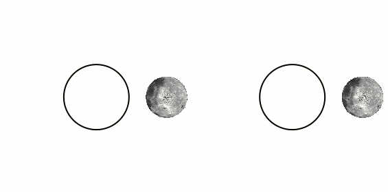 Uma ilustração do movimento da Lua. À direita, vemos o movimento real da Lua, onde o seu período de rotação e orbital são exatamente o mesmo. Com isso, vemos sempre a mesma imagem. À esquerda, conseguimos ver a hipótese caso a Lua não rodasse a si mesma. Se esse fosse caso, ao orbitar a Terra, veríamos diferentes faces da Lua, o que não acontece.