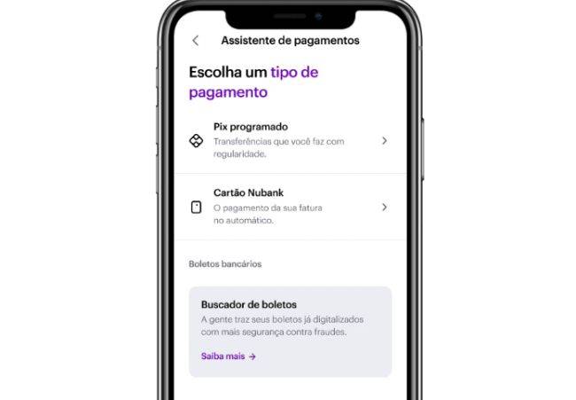 PIX programado, cartão de crédito e boletos são as três opções disponíveis para cadastro na ferramenta.