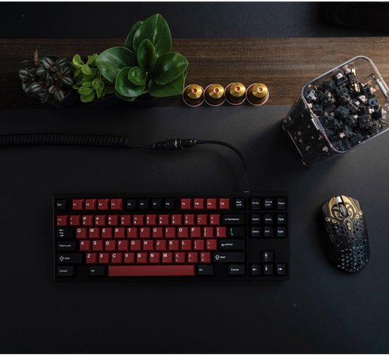 Além de mouses gamer, a Finalmouse tem linhas de teclados mecânicos.