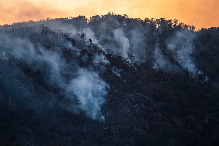 Ser humano é o principal agente causador de incêndios florestais (Fonte: Unplash/Matt Palmer)