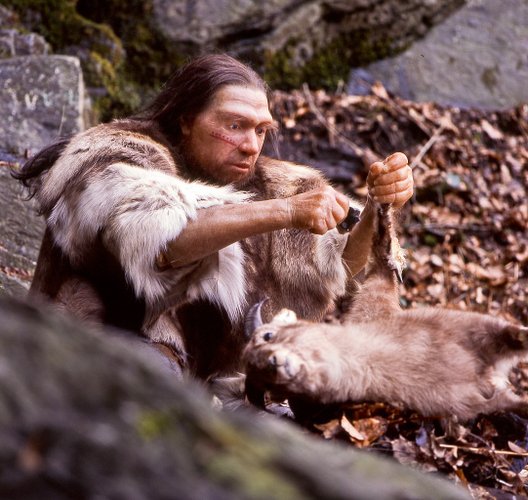 Neandeartais podem ter desaparecido por acasalamento entre nossas espécies (Fonte: Wikimedia Commons/Neanderthal-Museum, Mettmann)