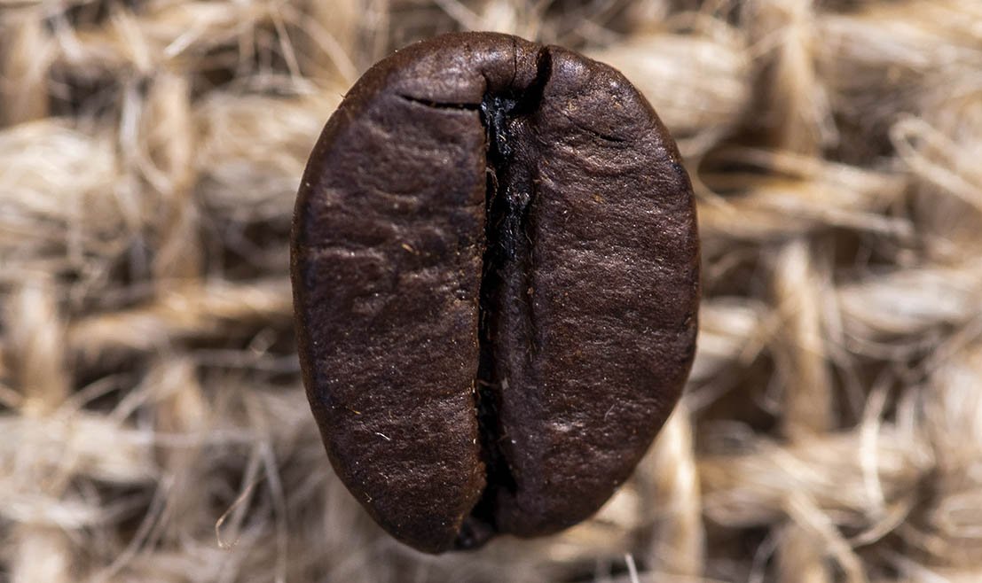 O estudo utilizou 16 amostras de grãos de cafés verdes, especiais e tradicionais, colhidos em Minas Gerais e em São Paulo.