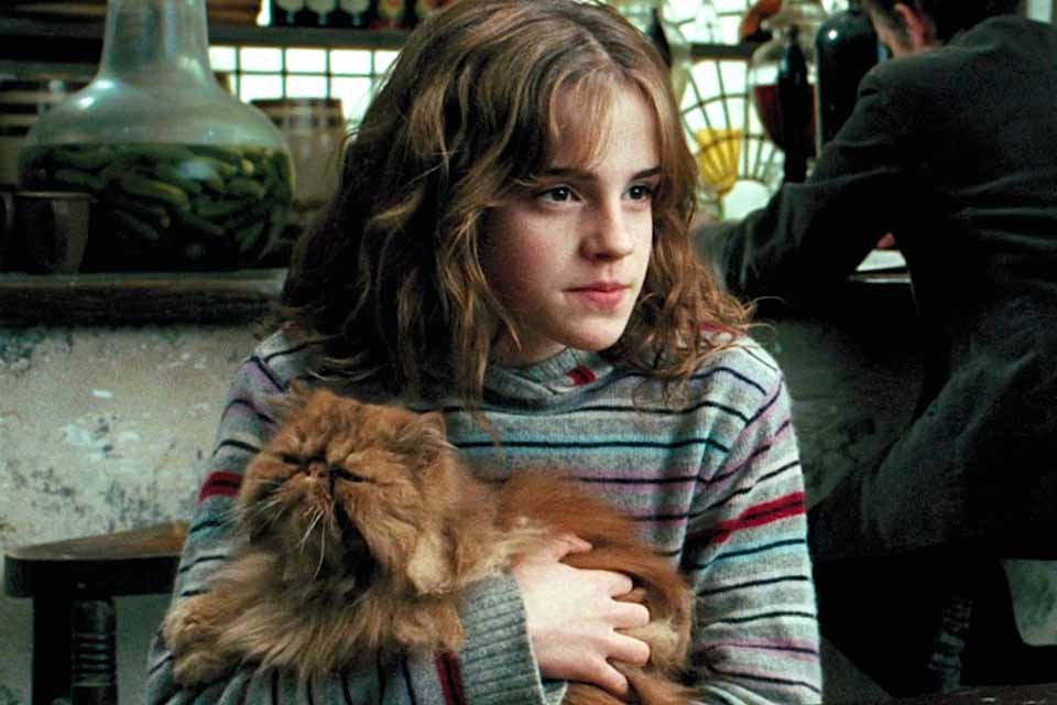 Gato de Hermione era da mãe de Harry Potter?