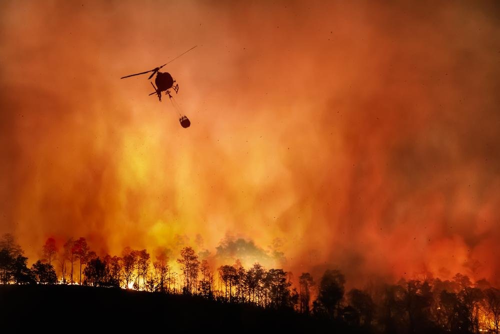 Além do desmatamento, queimadas criminosas também preocupam a segurança da Amazônia