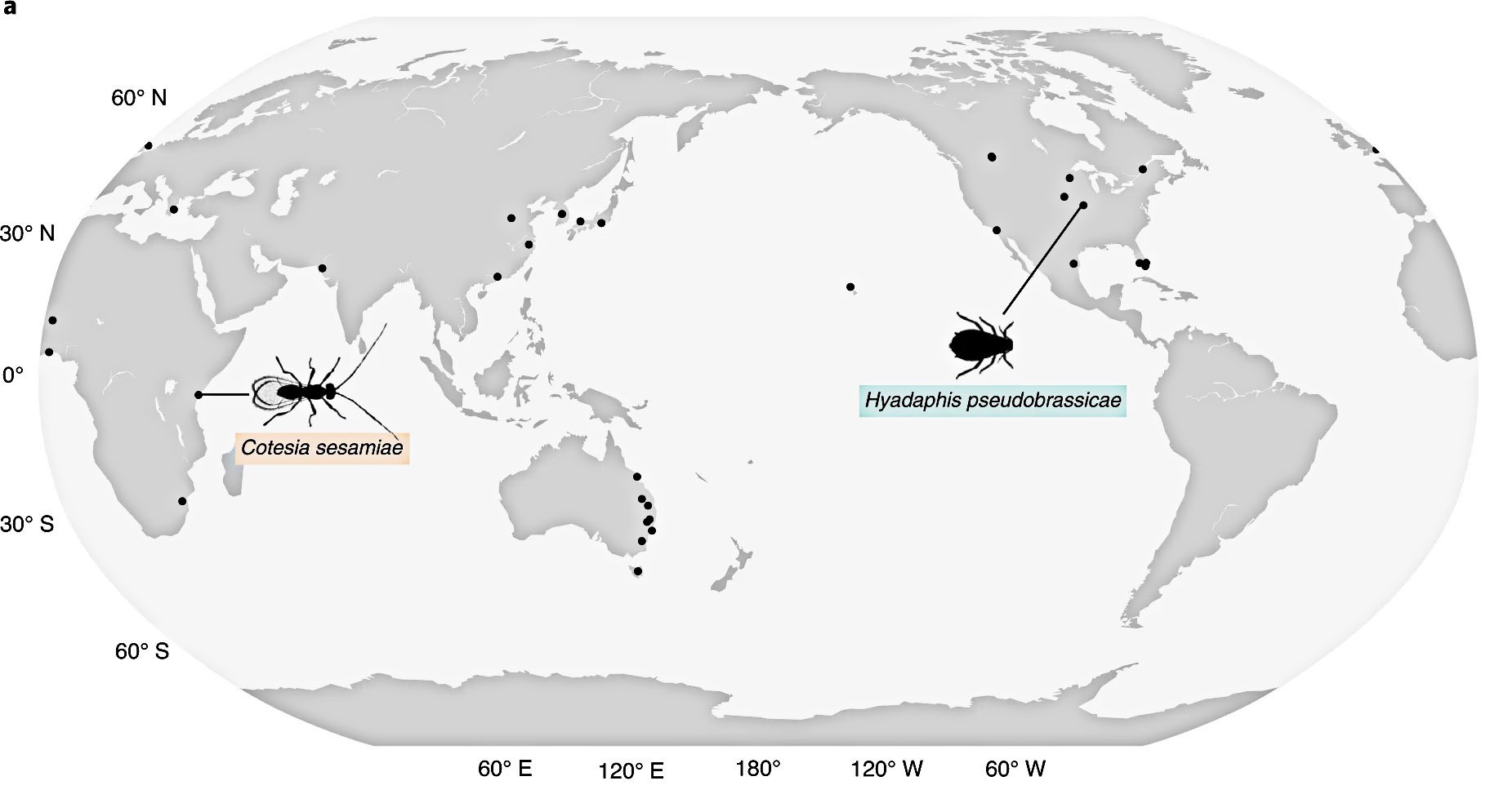  Localizações de origem das 38 espécies de insetos. (Fonte: Duffy et al./Divulgação.)